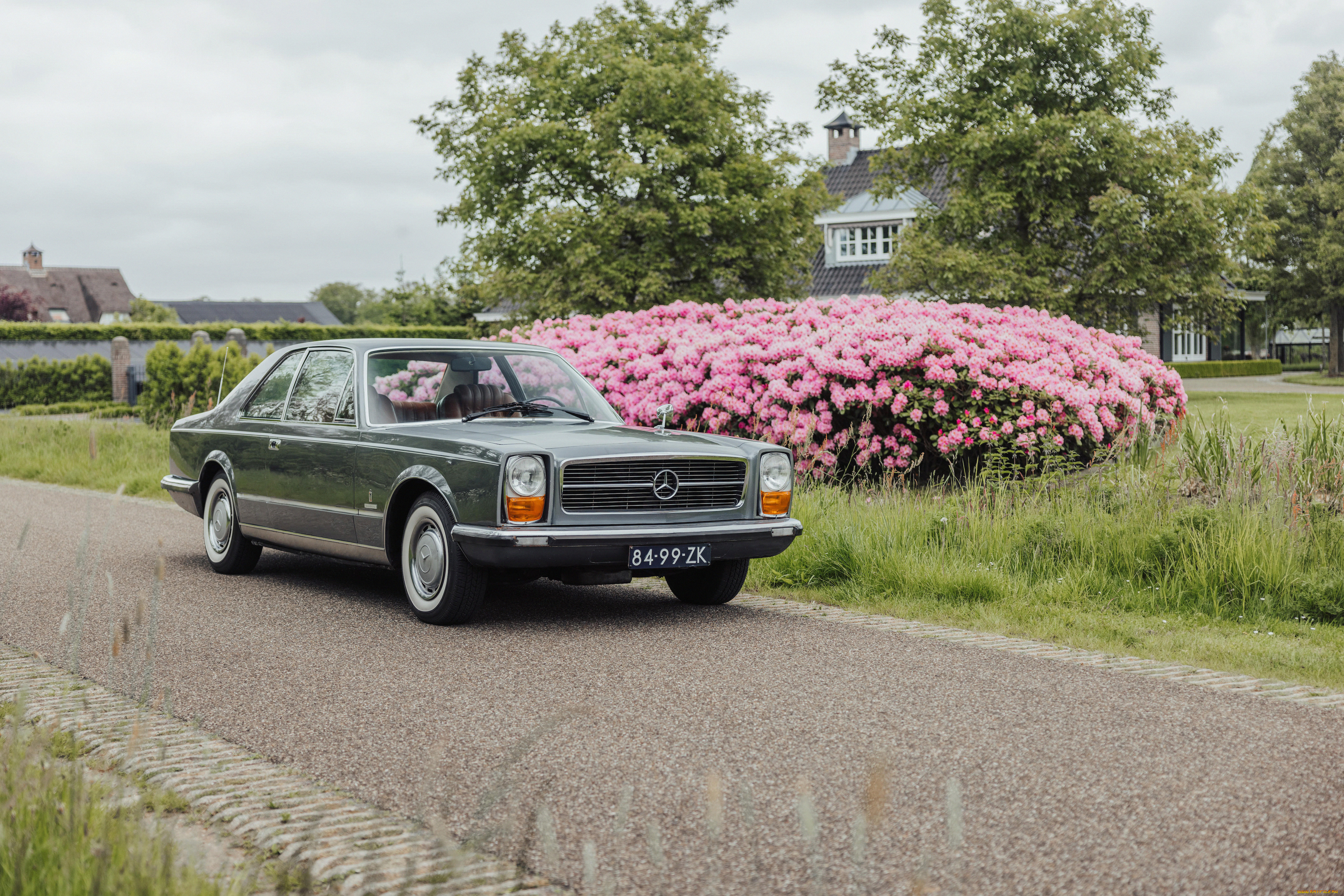, mercedes-benz